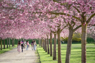 Primavera nelle residenze reali sabaude