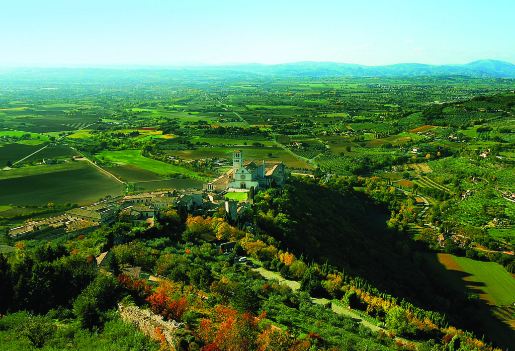 Il bosco di San Francesco: la natura come luogo di meditazione e preghiera