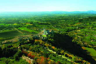 Il bosco di San Francesco: la natura come luogo di meditazione e preghiera