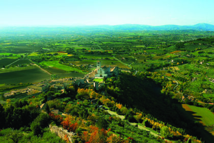 Il bosco di San Francesco: la natura come luogo di meditazione e preghiera